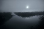 DSC_11509_yolo_basin_fog